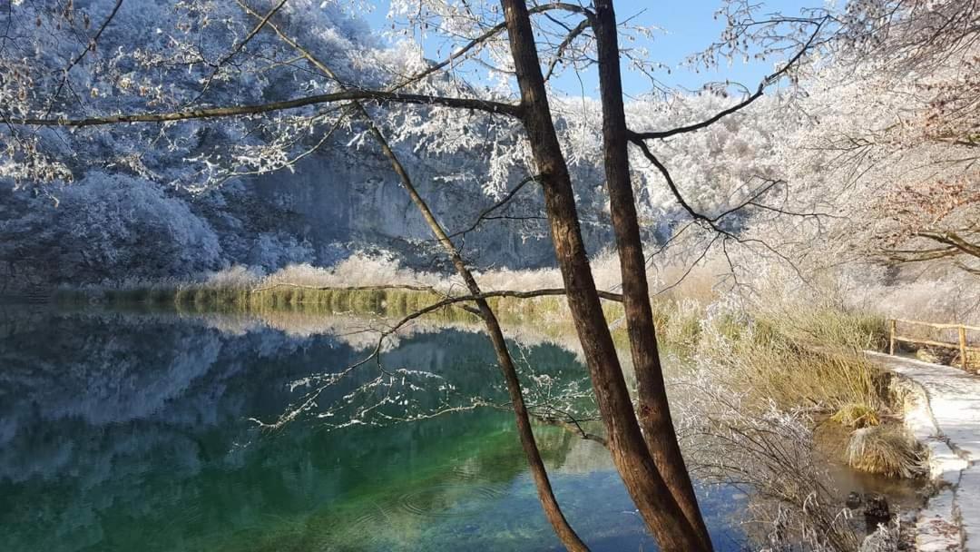 Апартаменты Plitvice Story Плитвицкие озёра Экстерьер фото